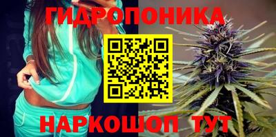 наркотики Будённовск