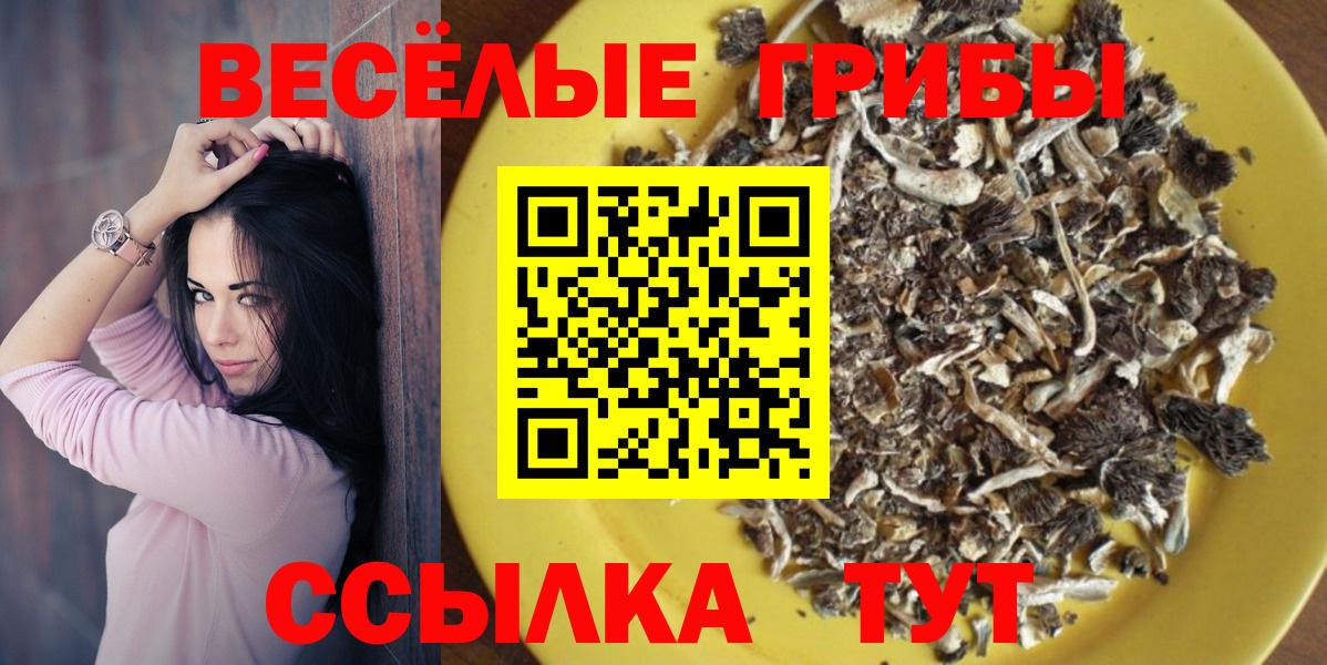 Псилоцибиновые грибы Magic Shrooms Камень-на-Оби